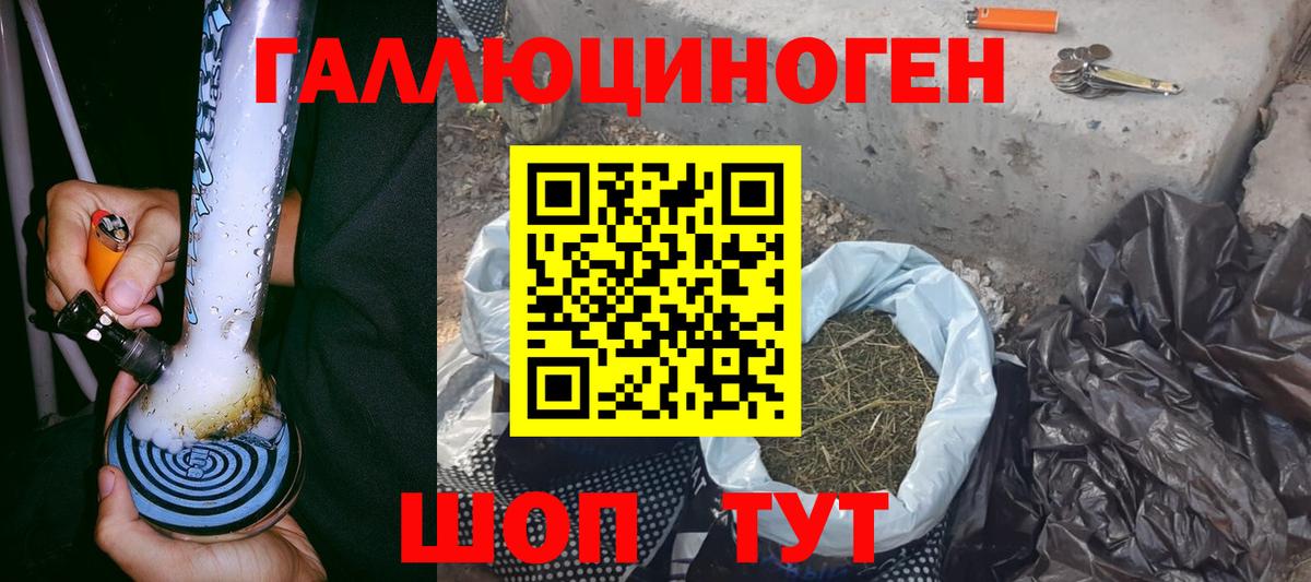 Димитровград  Псилоцибиновые грибы GOLDEN TEACHER  Вход с VPN  Галлюциногенные грибы Magic Shrooms 