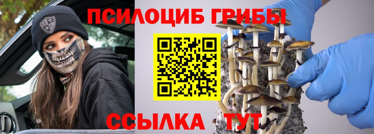 Галлюциногенные грибы прущие грибы Димитровград